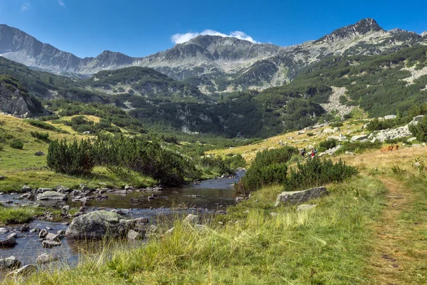 Panoramautsikt över Banderishki berghöna Peak och mountain river, Pirin berget — Stockfoto