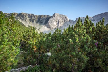 Sinanitsa tepe, Pirin Dağı şaşırtıcı görünümü