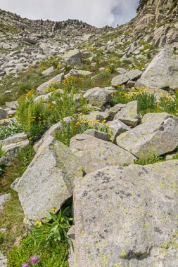 Banderitsa geçişi, Pirin Dağı üzerinden muhteşem manzara