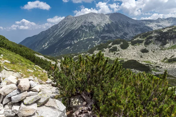 Niesamowity krajobraz od Banderitsa pass, góry Pirin — Zdjęcie stockowe