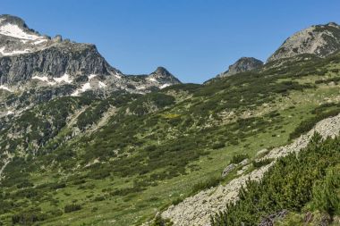 Dzhangal tepe Pirin dağda şaşırtıcı bahar bakış