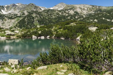 Banski göller ve küçük Polezhan tepe, Pirin Dağı ile manzara