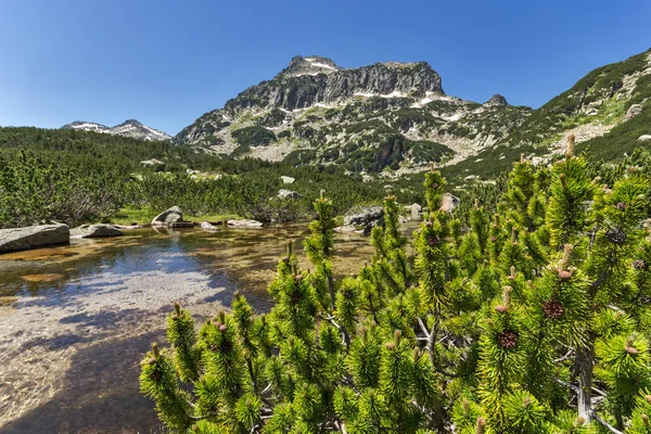 Amazing Landscape of Dzhangal peak and Banski lakes, Pirin Mountain — Stock Photo, Image