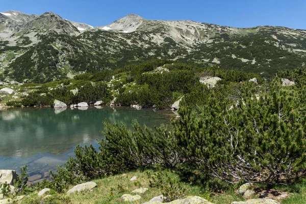 Τοπίο με μαγιό λίμνες και μικρά Polezhan κορυφή βουνού Πίριν — Φωτογραφία Αρχείου