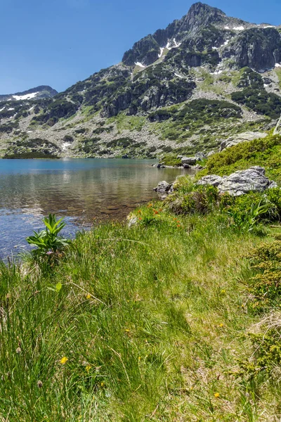 Paesaggio incredibile di Dzhangal picco e lago Popovo, Pirin Mountain — Foto Stock