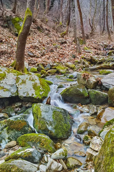 Amazing view of Crazy Mary River, Belasitsa Mountain,