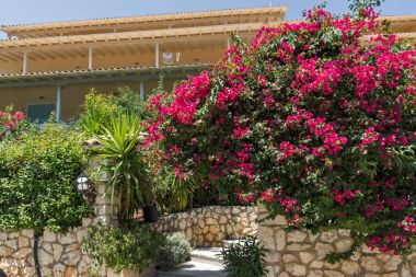 Agios Ioannis, Lefkada, Yunanistan 16 Temmuz 2014: Geleneksel evleri, köy, Agios Ioannis, Lefkada, Yunanistan