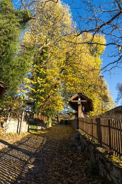 Bozhentsi, Bułgaria - 29 października 2016: Ulica z jesiennych drzew w miejscowości Bozhentsi, Gabrovo regionu — Zdjęcie stockowe
