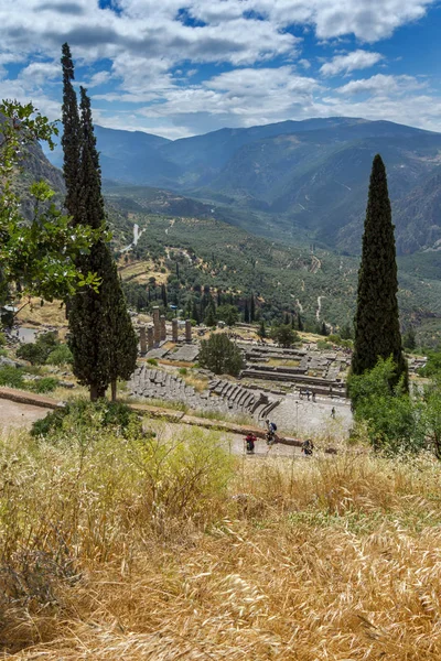 Panorama del Anfiteatro en el sitio arqueológico griego antiguo de Delfos — Foto de Stock