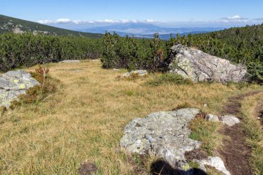Çalılar ve Rila dağ içinde taşlar, yatay