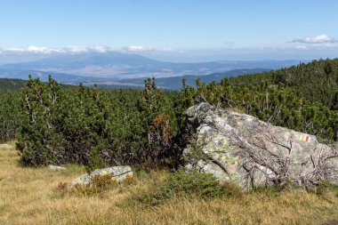 Çalılar ve Rila dağ içinde taşlar, yatay