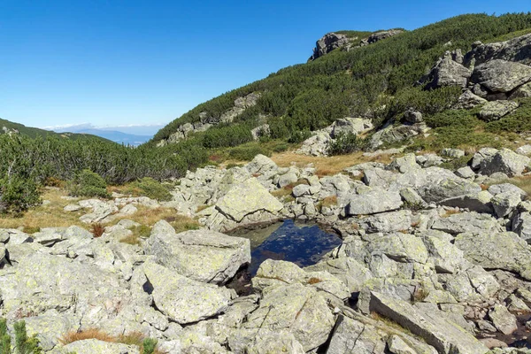 Paesaggio con cespugli e pietre nella montagna di Rila , — Foto Stock