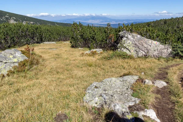 Çalılar ve Rila dağ içinde taşlar, yatay