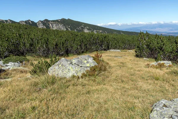 Krajina s keři a kameny v Rilského pohoří, — Stock fotografie