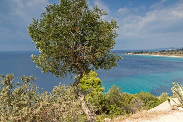 Vista panoramica sulla spiaggia di Agios Ioannis nella penisola di Sithonia, Calcidica, Macedonia centrale — Foto Stock
