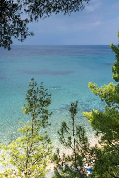 Panoramik Elia Beach adlı Sithonia Yarımadası, Chalkidiki, orta Makedonya — Stok fotoğraf