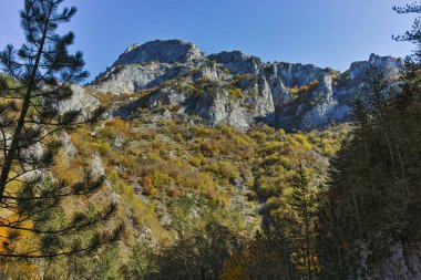 Sonbahar panoramik Buynovsko gorge, Rodop Dağları