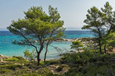 Chalkidiki, orta Makedonya, Yunanistan - 26 Ağustos 2014: Deniz manzarası, Orange Beach Kavourotripes adlı Sithonia Yarımadası, Chalkidiki, orta Makedonya