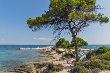 Chalkidiki, orta Makedonya, Yunanistan - 26 Ağustos 2014: Deniz manzarası, Karidi Beach Vourvourou adlı Sithonia Yarımadası, Chalkidiki, orta Makedonya
