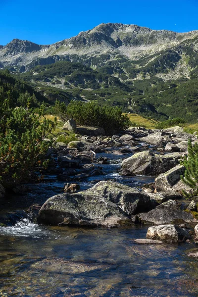 Muhteşem manzara dağ nehir, Pirin Dağı