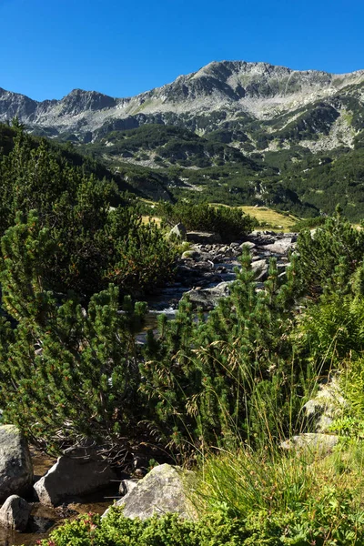 산 강, Pirin 산의 놀라운 풍경 — 스톡 사진