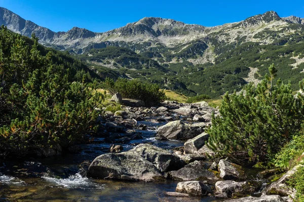 Pemandangan yang menakjubkan dari sungai pegunungan, Pirin Mountain — Stok Foto