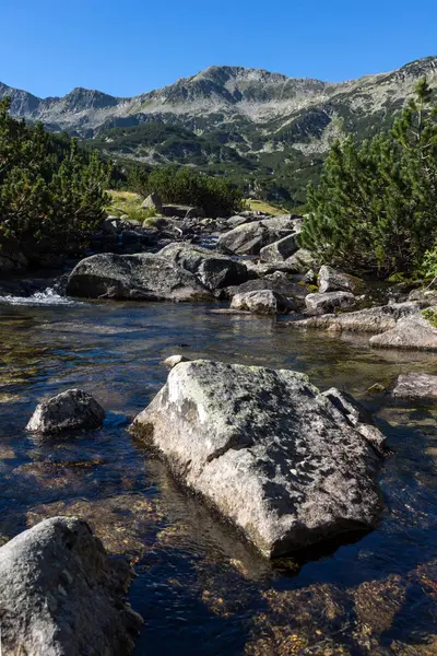 Niesamowity krajobraz, górskiej rzeki, góry Pirin — Zdjęcie stockowe