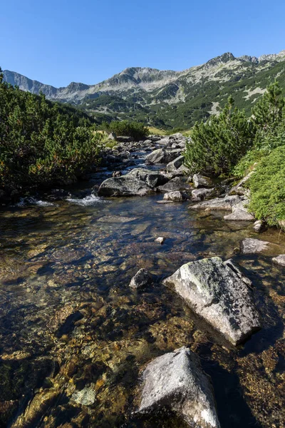 พื้นที่ที่น่าตื่นตาตื่นใจของแม่น้ําภูเขา, ภูเขา Pirin — ภาพถ่ายสต็อก