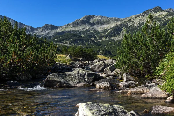 Muhteşem manzara dağ nehir, Pirin Dağı