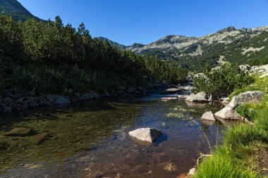 Muhteşem manzara dağ nehir ve Banderishki Kınalı tepe, Pirin Dağı