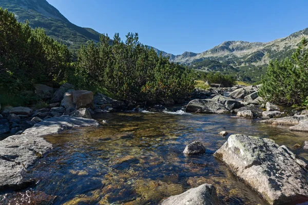 Erstaunliche Landschaft des Gebirgsflusses, Pirin Berg — Stockfoto