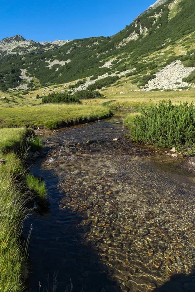 Lanskap dengan air jernih dari sungai pegunungan, Pirin Mountain — Stok Foto