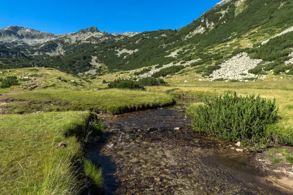 Tiszta vízzel hegyi folyó, a Pirin-hegység táj — Stock Fotó