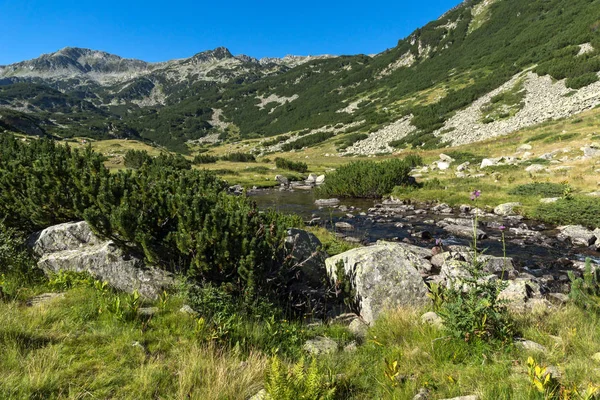 Краєвид з чистою водою гірської річки, гори Пірін — стокове фото