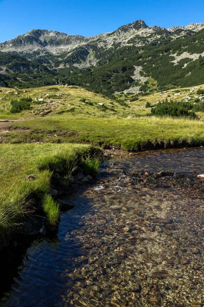 Maisema kirkas vesi Mountain River, Pirin Mountain — kuvapankkivalokuva