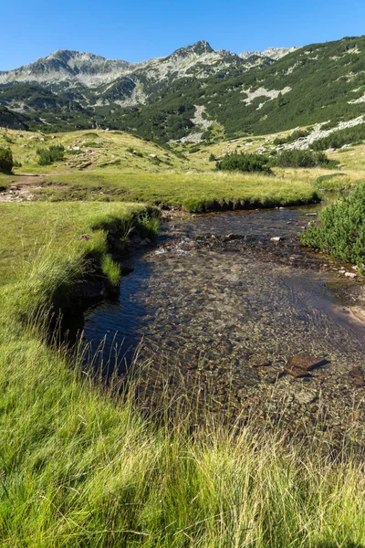 Tiszta vízzel hegyi folyó, a Pirin-hegység táj — Stock Fotó