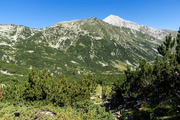 Hvoynati とヴィフレン ピーク、ピリン山の素晴らしい風景 — ストック写真