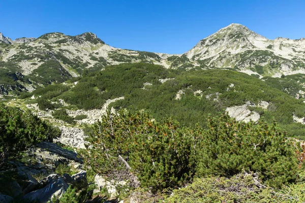 Muratov ピーク、ピリン山の素晴らしい風景 — ストック写真