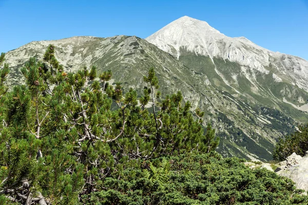 Landscape with Hvoynati and Vihren Peak, Pirin Mountain — Stock Photo, Image