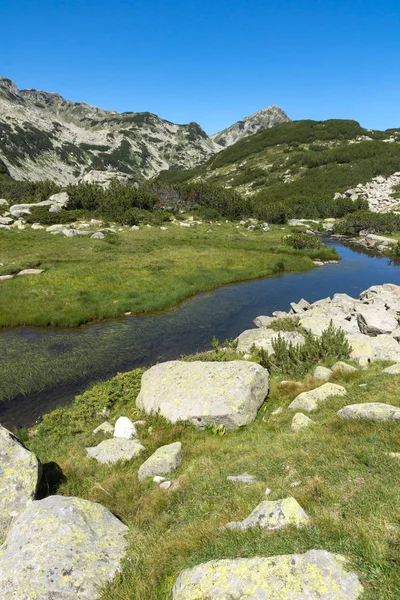 Fantastiska landskap av Mountain river och Muratov peak, Pirin berget — Stockfoto