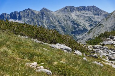 Yatay, Polezhan tepe, Pirin Dağı