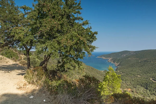 Panoramic view of Mamba Beach Ampelos at Sithonia peninsula, Chalkidiki, Central Macedonia — Stock Photo, Image