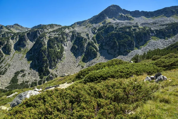 Paysage estival incroyable avec collines verdoyantes, montagne Pirin — Photo