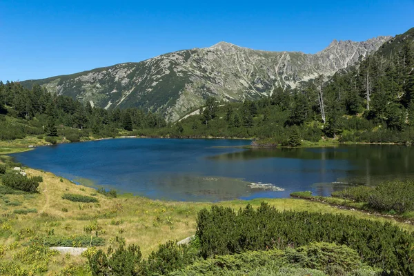 Paesaggio incredibile con pesce Vasilashko lago, Pirin Mountain — Foto Stock