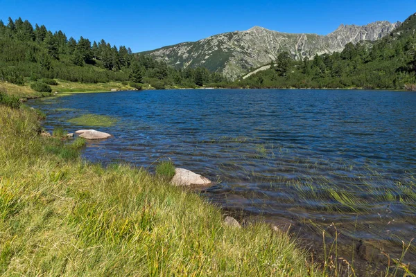 Balık Vasilashko Gölü, Pirin Dağı ile muhteşem manzara