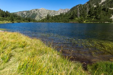 Balık Vasilashko Gölü, Pirin Dağı ile muhteşem manzara