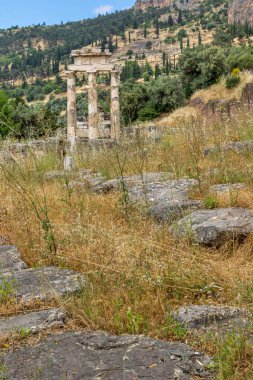 Şaşırtıcı görünümü Athena Pronaia Sanctuary Delphi antik Yunan arkeolojik yerinde ve kalıntılar