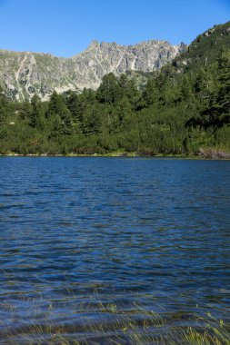 Balık Vasilashko Gölü, Pirin Dağı ile muhteşem manzara