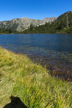 Balık Vasilashko Gölü, Pirin Dağı ile muhteşem manzara