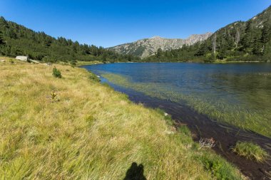 Balık Vasilashko Gölü, Pirin Dağı ile muhteşem manzara